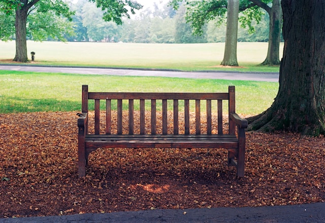 bench-at-the-park