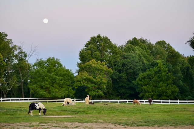 cows-on-a-farm